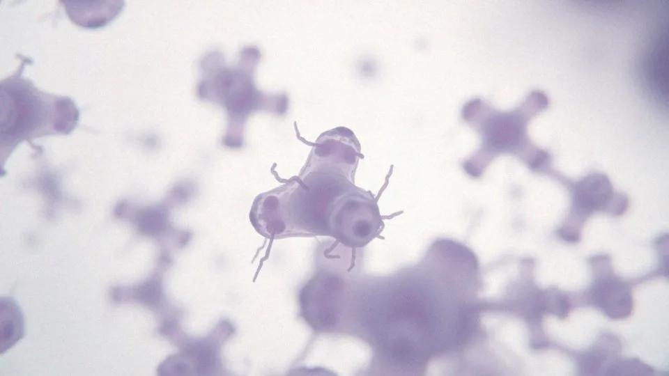 Jak działa doksycyklina?