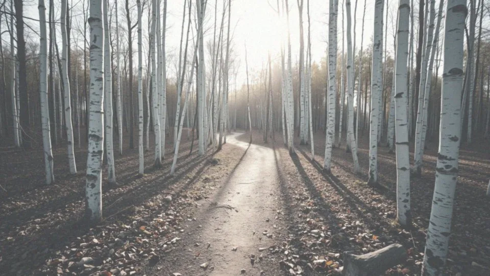 Jak samoakceptacja wpływa na naszą wartość?