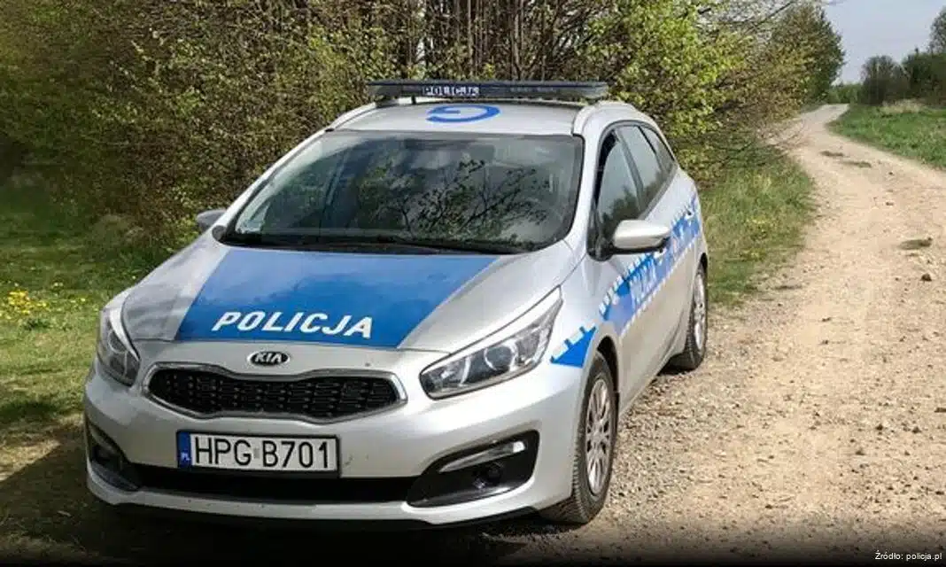 Tragiczny wypadek drogowy w Fałkowie