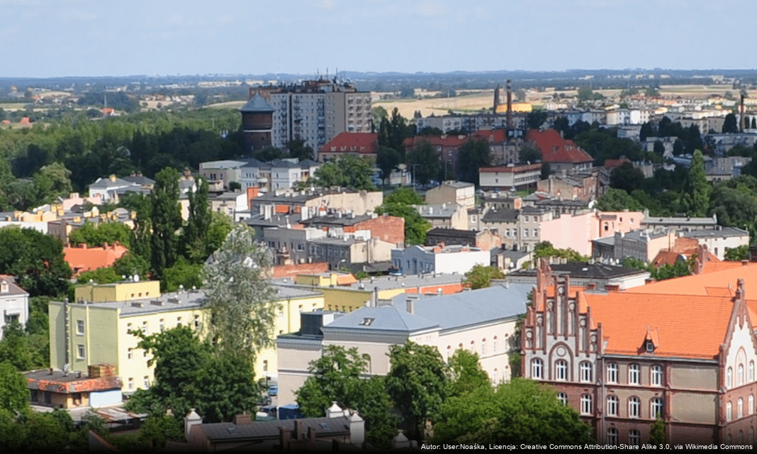 Badanie aktywności ekonomicznej ludności w Gnieźnie