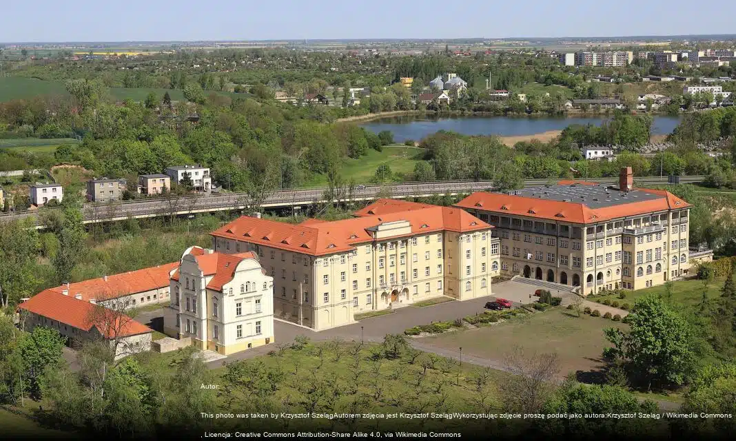 Festiwal Filmowy Offeliada zbliża się do Gniezna